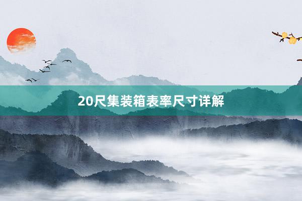 20尺集装箱表率尺寸详解