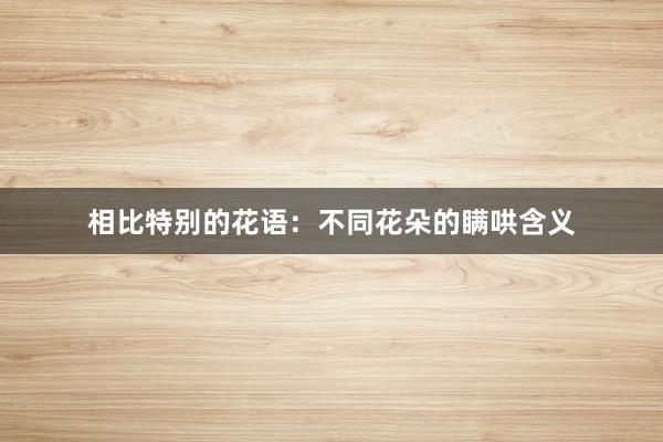 相比特别的花语：不同花朵的瞒哄含义