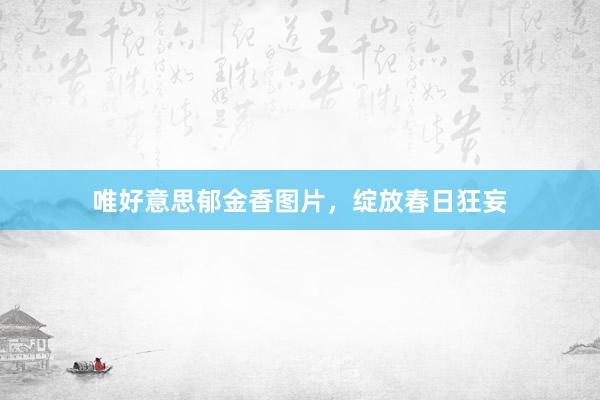 唯好意思郁金香图片，绽放春日狂妄